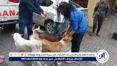 الزراعة تطلق منظومة وقائية شاملة لحماية الصحة العامة والثروة الحيوانية ومواجهة الأمراض الوبائية