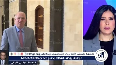 شومان: السلاح ذريعة.. والاعتداءات الإسرائيلية تهدف لفرض مناطق أمنية وتقسيم جنوب لبنان