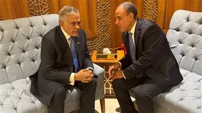 لقاء بين وزير الخارجية مصرى ونظيره الباكستاني