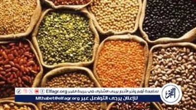 أسعار البقوليات اليوم الاثنين 12-1-2026 في أسواق ومحال محافظة الأقصر