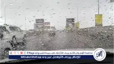 الطقس اليوم الإثنين 12 يناير 2026.. أمطار متفاوتة الشدة ورياح قوية والعظمى بالقاهرة 19 درجة