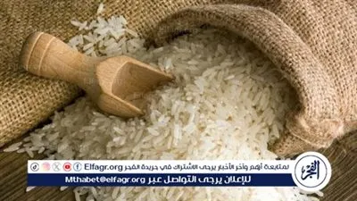 سعر طن الأرز اليوم الإثنين 12يناير 2026 فى المنيا 