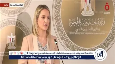 وزيرة خارجية أيرلندا: نثمن المواقف المصرية لتعزيز الاستقرار في المنطقة 