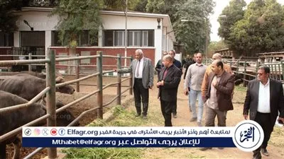 مزارع جامعة أسيوط نموذج متكامل لدعم الإنتاج الزراعي والحيواني 