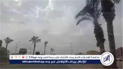 شديد البرودة.....حاله الطقس اليوم الثلاثاء 13يناير 2026 فى المنيا 
