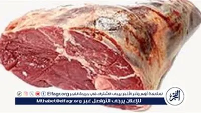  تراجع فى الضاني وارتفاع أسعار البتلو والكندوز.... اليوم الثلاثاء 13يناير 2026 فى المنيا 