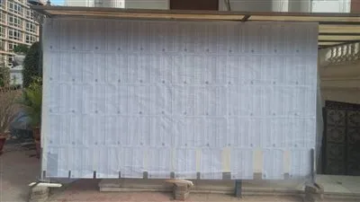 انتخابات رئاسة الوفد.. 5761 عضوًا يصوتون و5 ملايين جنيه ميزانية (خاص)