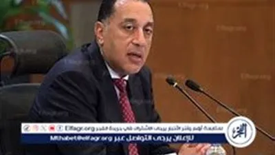 بقدرة 100 ميجاوات.. الحكومة تُسرّع خطوات تحويل مصر إلى مركز إقليمي لإنتاج الهيدروجين الأخضر