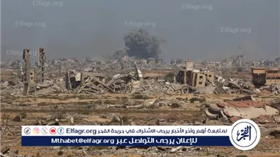 وزيرة الخارجية الفلسطينية: نحتاج إلى أن تبدأ لجنة إدارة غزة عملها في أسرع وقت ممكن