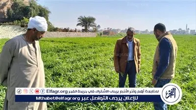 محافظ أسيوط يشدد على متابعة الزراعات بالقرى والنجوع