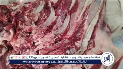 ضبط 64 كيلو لحوم دواجن غير صالحة للاستهلاك الآدمي فى أسيوط 