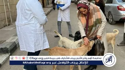 بيطري المنيا: تحصين الكلاب الحرة ضد السعار بعدة مناطق حيوية بالمحافظة