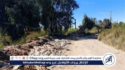  استجابة لشكاوى المواطنين.. محافظ قنا يوجه بإنهاء أزمة مخلفات 