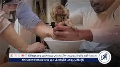 «حرام شرعًا».. أمين الفتوى يحذر الشباب من «اختبار الصداقة بالشاي المغلي»