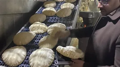 محافظ الدقهلية: ضبط أكثر من طن دقيق ومنتجات متنوعة وتحرير 102 مخالفة تموينية