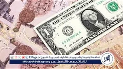 بعد ارتفاعه في 10 بنوك.. سعر الدولار مقابل الجنيه المصري اليوم الثلاثاء 20 يناير 2026