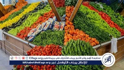 صعود الليمون والطماطم...اسعار الخضروات اليوم الثلاثاء 20يناير 2026 بأسواق المنيا 