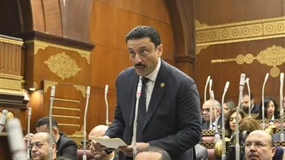النائب محمد رزق: التغيرات المناخية تهاجم أمن مصر الغذائي وتستوجب حلولاً استثنائية