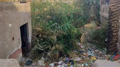 مركز شباب قرية جرزا بالجيزة..من متنفس للشباب إلى بيت للزواحف والقمامة