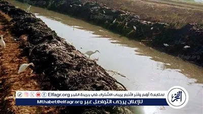 حملة لرى الفيوم..لرفع المخلفات وتطهير الترع لتأمين وصول المياه لـ 13 ألف فدان