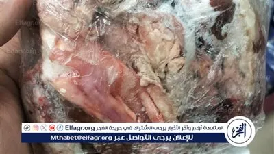 محافظ أسيوط: ضبط كميات كبيرة من السلع مجهولة المصدر وغير الصالحة للاستهلاك الآدمي 