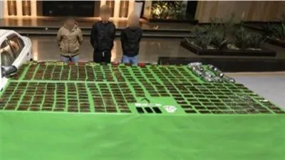 ضبط عناصر بؤر إجرامية من جالبى المواد المخدرة والأسلحة النارية ومصرع 3 أخرين عقب تبادل إطلاق النيران مع قوات الشرطة