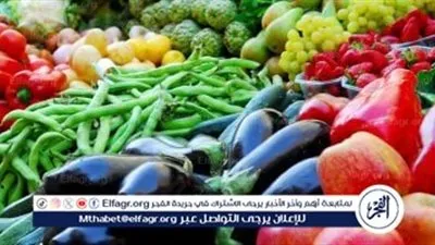 اسعار الخضروات اليوم الجمعه 23يناير 2026 فى اسواق المنيا 