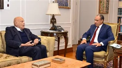 وزير الخارجية يلتقي البروفيسور د. مجدي يعقوب … ويشيد بالدور الإنساني والتنموي للمشروعات الصحية المصرية في إفريقيا