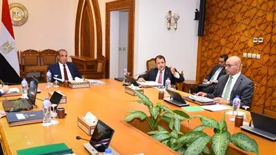وزير الخارجية يؤكد أولوية الدائرة الإفريقية في السياسة الخارجية المصرية