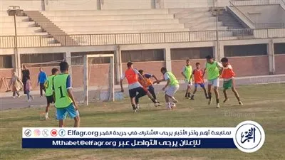 محافظ أسيوط: مشروع 