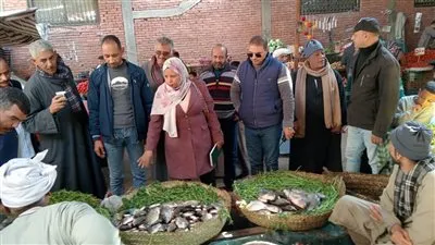 محافظ قنا: حملات تموينية مكثفة تضبط 61 مخالفة متنوعة