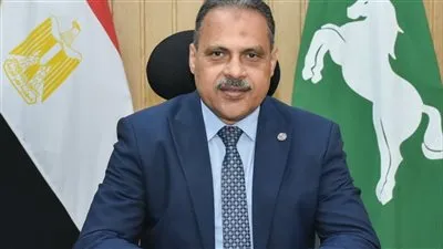 محافظ الشرقية يتابع انتظام سير أعمال الصيانة والإصلاح الجارية بكوبري الصاغة بمدينة الزقازيق 