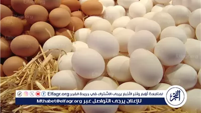 اسعار كرتونه البيض فى بورصة الدواجن وأسواق المنيا اليوم الأحد 25 يناير 2026