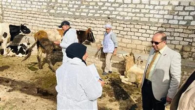 محافظ الدقهلية: تحصين 110 ألف رأس ماشية في الحملة القومية الاستثنائية للتحصين ضد مرضي الحمى القلاعية والوادي المتصدع