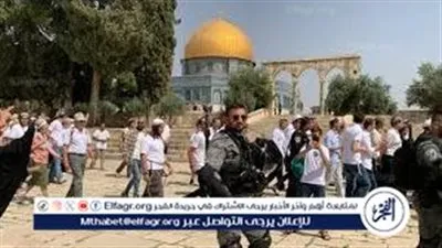 عاجل- 174 مستوطنًا يقتحمون المسجد الأقصى بحماية الشرطة الإسرائيلية