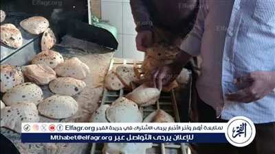 تحرير 175 محضرًا متنوعًا فى أسيوط 