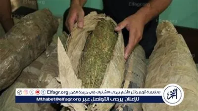  مباحث الأقصر تضبط عنصر إجرامي بحوزته 5 كيلو حشيش وبندقية خرطوش