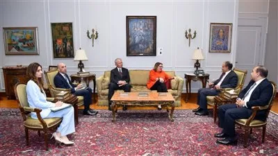 وزير الخارجية يستقبل المديرة العامة للقوة متعددة الجنسيات في سيناء