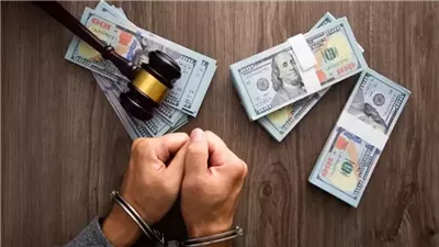 ضبط عنصرين جنائيين بتهمة غسل 60 مليون جنيه حصيلة التجارة بالنقد الأجنبي بالجيزة