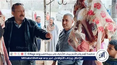 ضبط 400 كبلو لحوم فاسدة وتحرير 13 محضرًا في حملات بيطرية ببني سويف