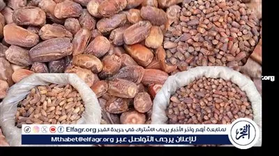 الحكومة تحسم الجدل: لا استيراد لتمور إسرائيلية ومصر تعتمد على إنتاجها المحلي