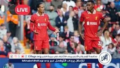 أنفيلد يشهد صراعًا مثيرًا.. بث مباشر مباراة ليفربول ونيوكاسل اليوم بالدوري الإنجليزي