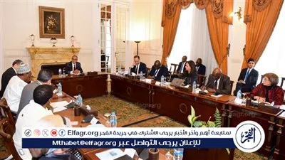 وزير الخارجية يلتقي بممثلي منظمات ومكاتب الاتحاد الأفريقي في مصر