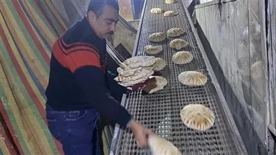 تحرير 19 محضرا متنوعا في حملة تموينية رقابية على 32 مخبزًا بالمنصورة ودكرنس ومحلة دمنه