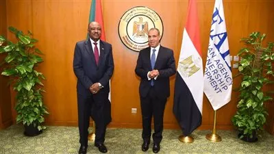 وزير الخارجية ونظيره السوداني يشاركان في احتفالية تكريم الفريق الطبي المصري المشارك في القافلة الطبية إلى السودان