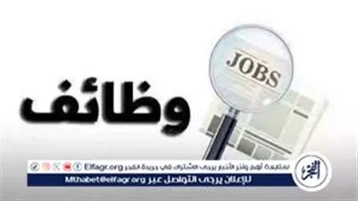 عاجل- العمل تعلن 4379 فرصة عمل جديدة في 12 محافظة لشهر فبراير 2026