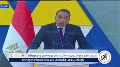 عاجل- الحكومة المصرية تعزز بيئة الابتكار عبر مجموعة وزارية ولجنة استشارية للاقتصاد الرقمي