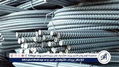 اسعار الحديد فى أسيوط اليوم الأحد 8\2\2026