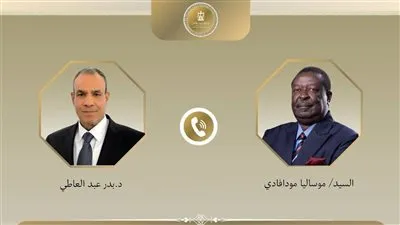 اتصال هاتفي بين وزير الخارجية ونظيره الكيني