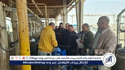 حملة تفتيشية على محطات الوقود وتعبئة البوتاجاز بطامية الفيوم 